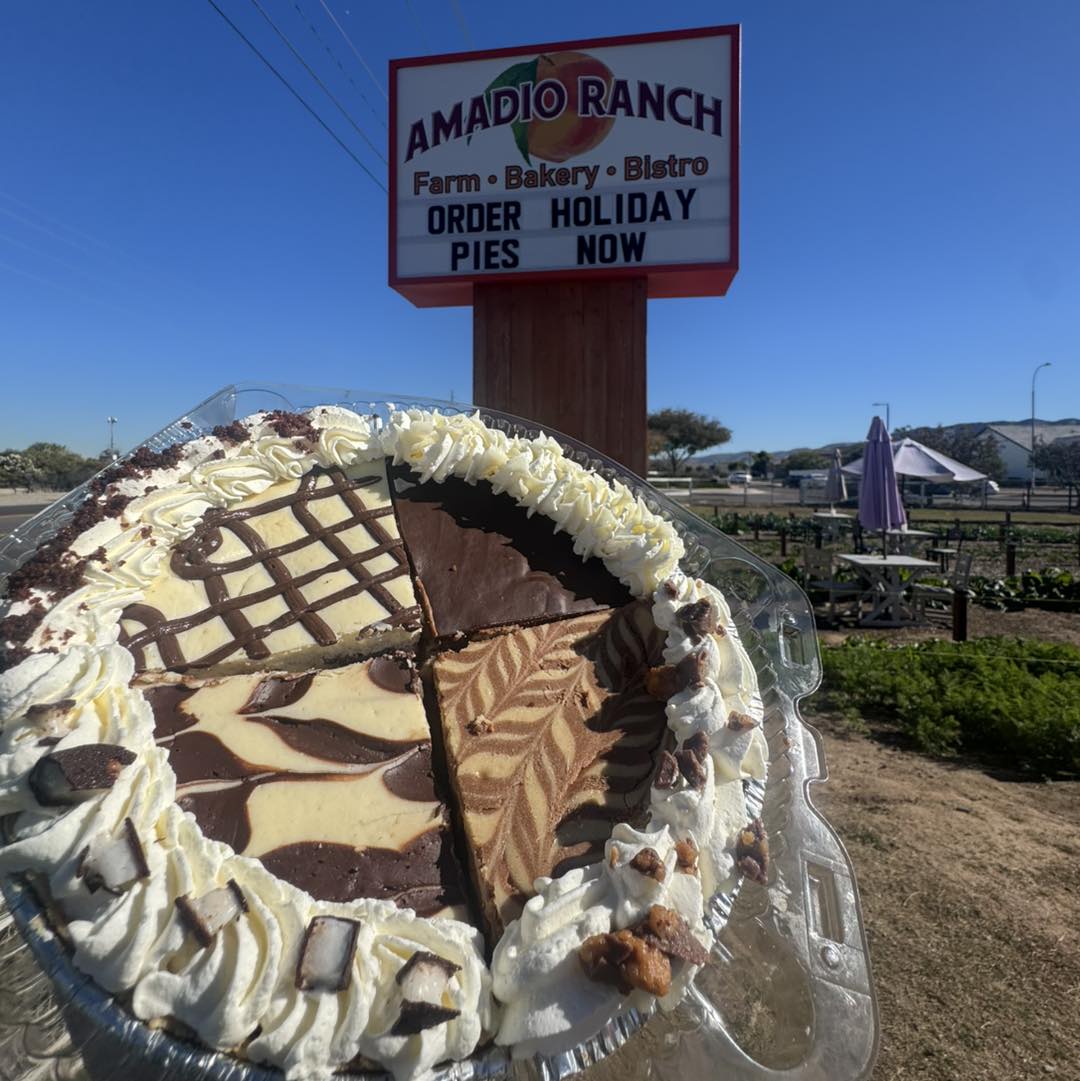 Chocolate Cheesecake Sampler